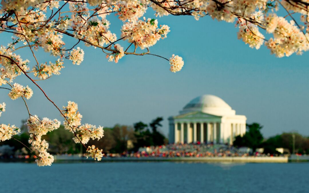 WASHINGTON DC APRIL 6-14